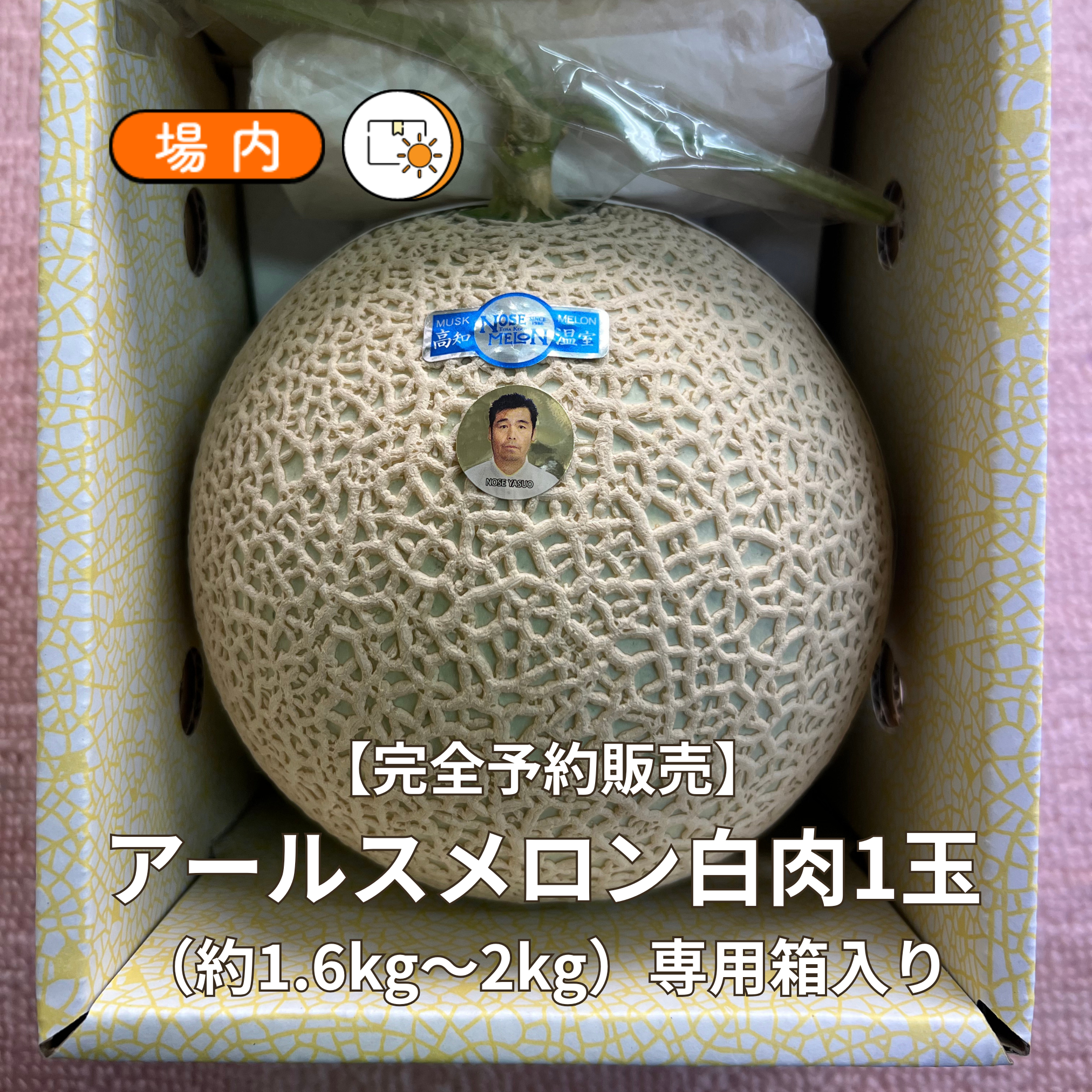 【3月27日ご注文締切 4月1日～順次発送】アールスメロン白肉1玉（約1.6kg～2kg）専用箱入り