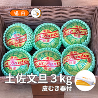 土佐文旦 3kg（5～6個）皮むき器付