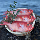 金目鯛の干物 1尾（常温保存可能品）