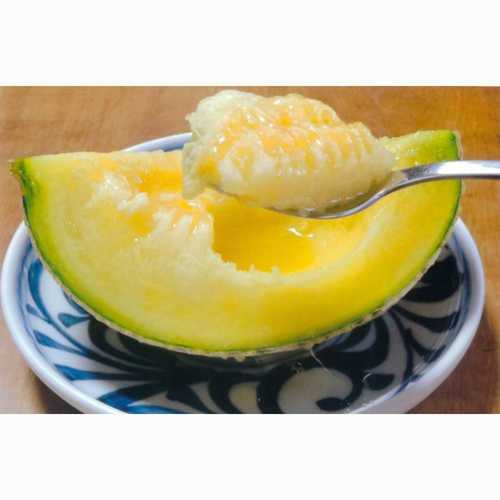【7月出荷予定】アールスメロン白肉1玉（約1.6kg～2kg）専用箱入り