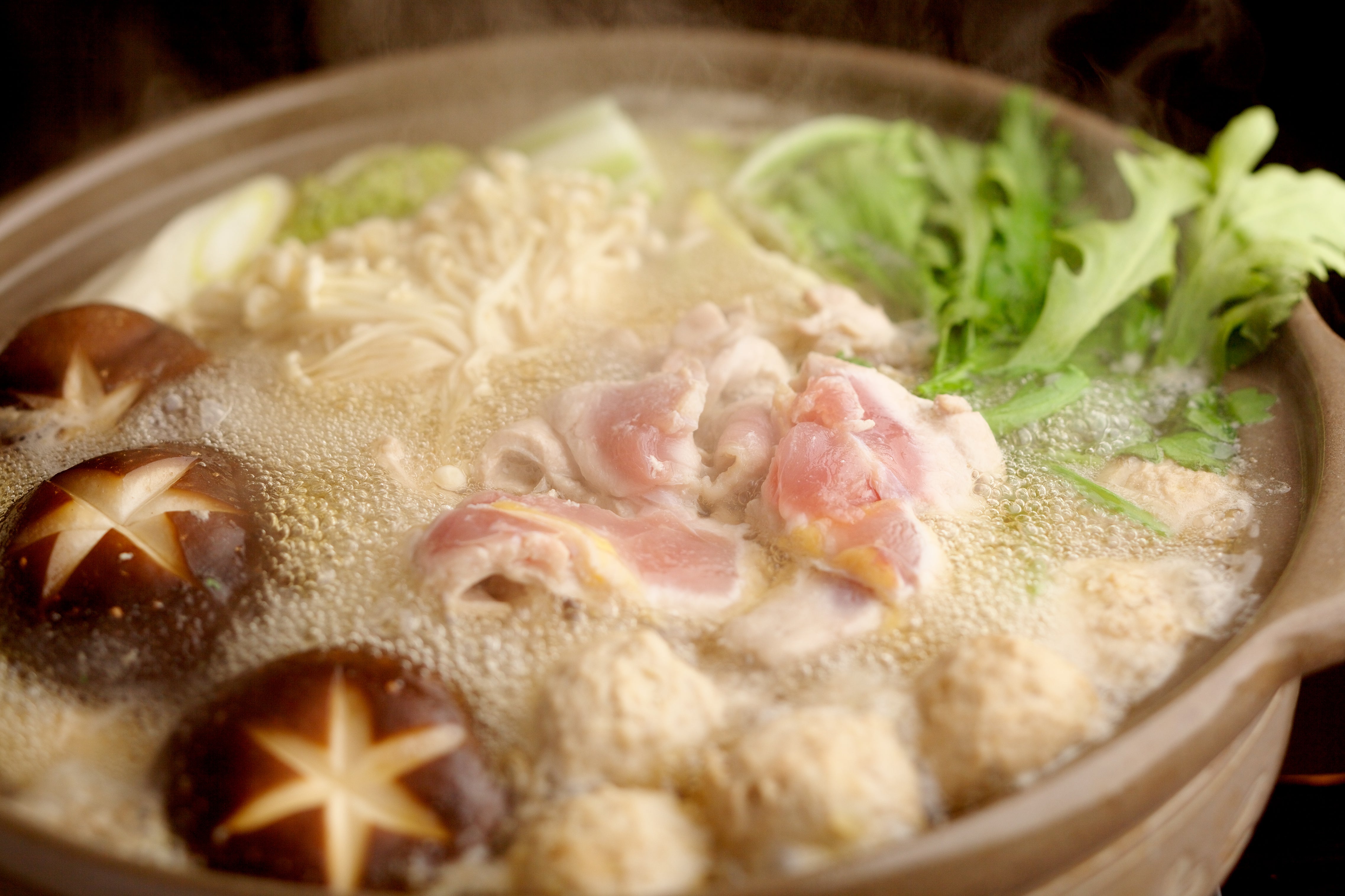 土佐・本川 献上手箱きじ 塩なべセット（3～4人前）