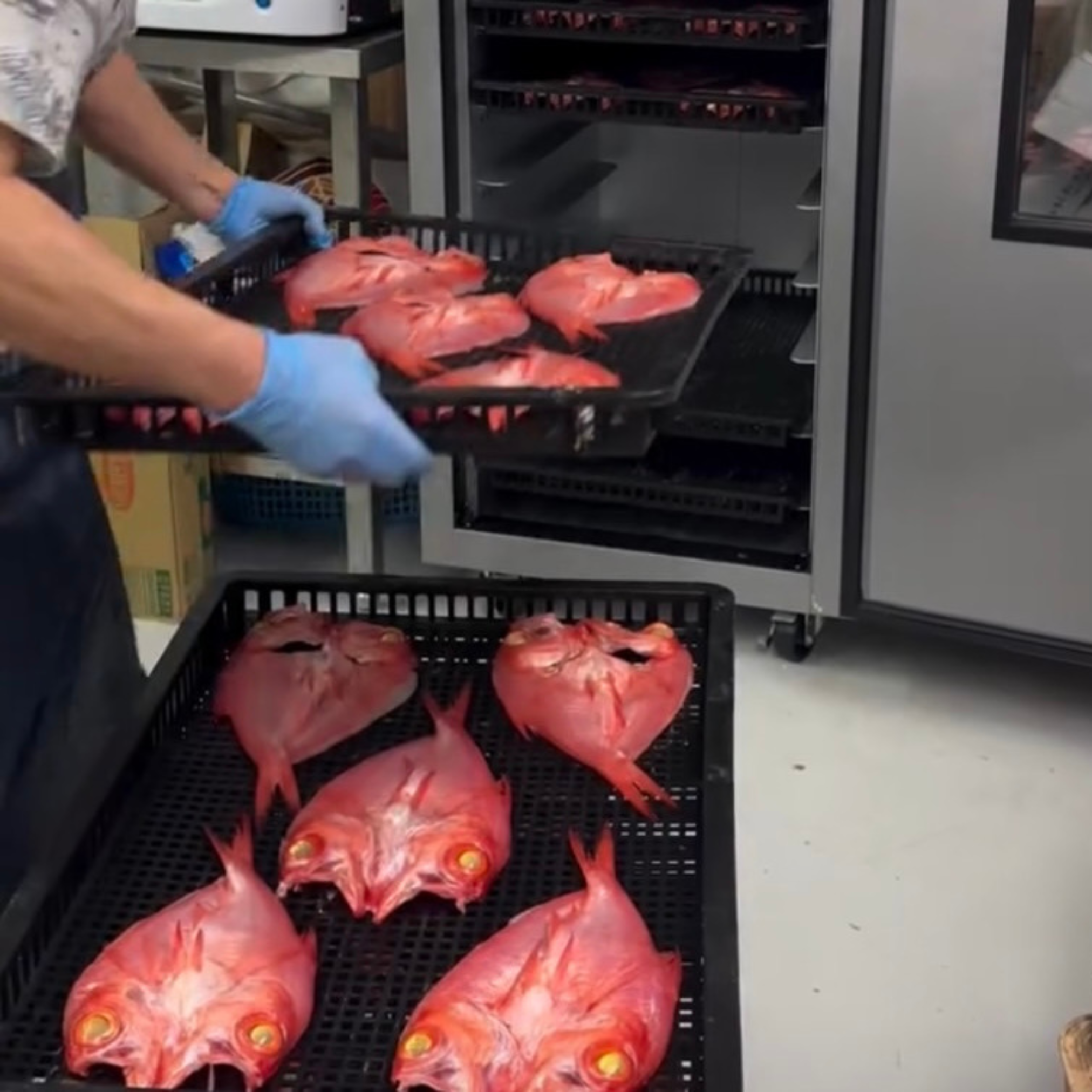 金目鯛の干物 1尾（常温保存可能品）