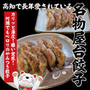 【長年愛されるあの味！高知屋台餃子がご家庭で♪】屋台餃子【HS】