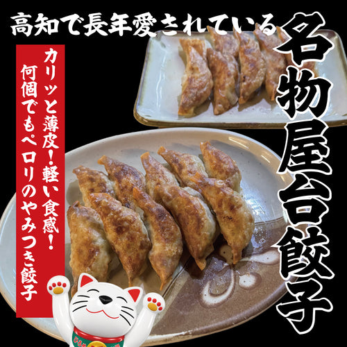 【長年愛されるあの味！高知屋台餃子がご家庭で♪】屋台餃子【HS】