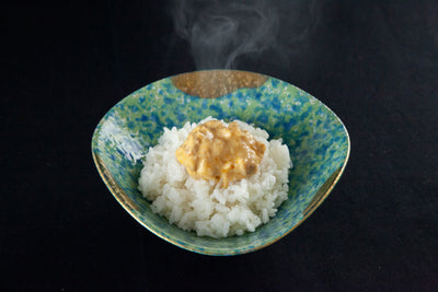 土佐ジローのココナッツカレー味