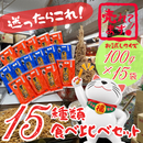 【ひろめ名物味比べ♪】手造り芋けんぴ お試し15種セット（100g×15種）【黒潮物産】