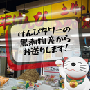 【メディア多数掲載の酒の肴の芋けんぴ】手造りいごっそう芋けんぴ　塩にんにく味【黒潮物産】